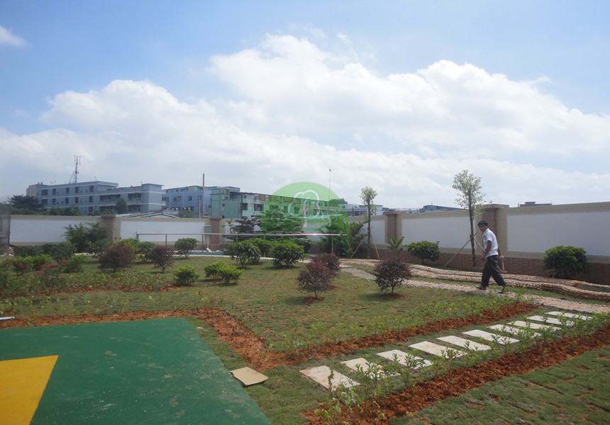 幼儿园绿化工程